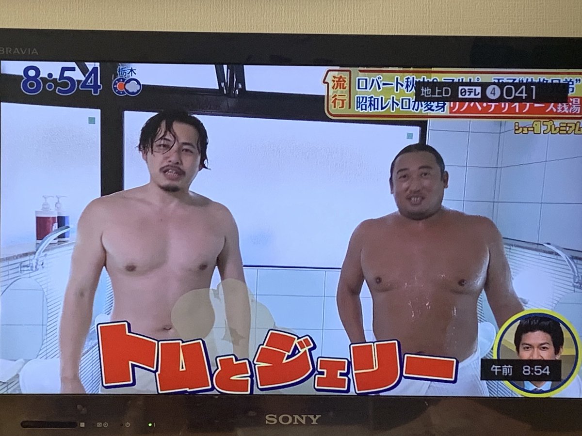 訳あり】 シューイチ 体格ブラザーズ ステッカー 秋山 平子 日テレ