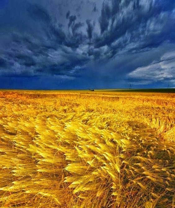 jayneco04310055's tweet photo. I don’t know who the photographer is but WOW #IStandWithUkraine https://t.co/Lf6m9A5IA2