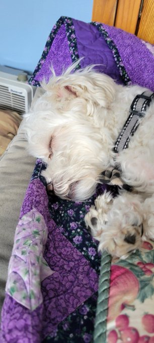 I wish i could just pass out https://t.co/u3n6UkTpkY