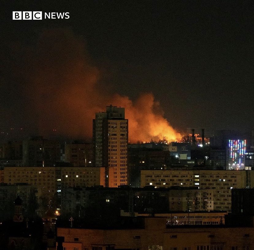 Mali-Koa tweet media