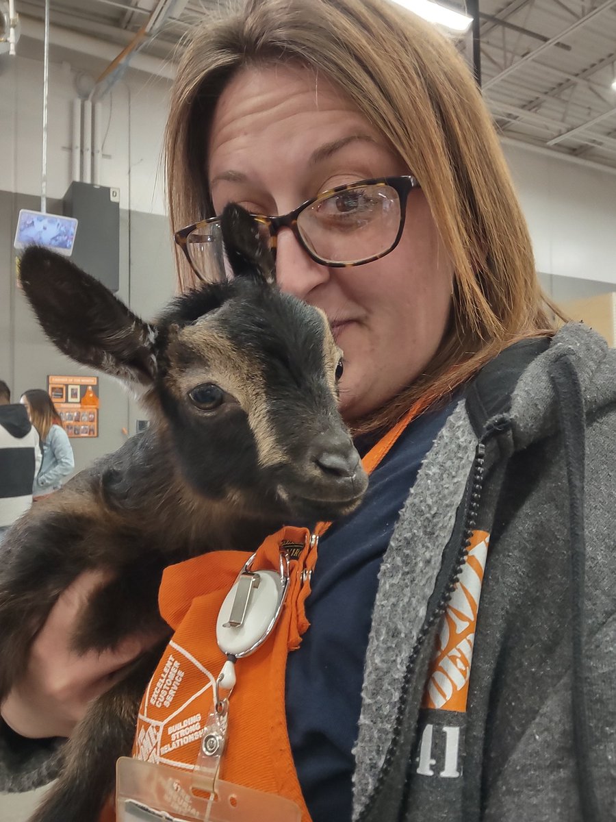 Awwwee!!! I won't one 😫😫😫My HomeDepot buddy <a href="/AmiRumsey/">AmyRumsey@THD#8412</a> <a href="/Shanda668/">Shanda66_#8412</a> <a href="/8412/">ted taylor</a>