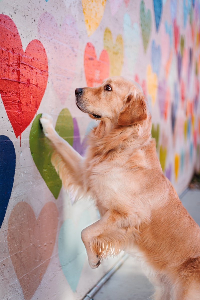 Atlas & Jordyn tweet media