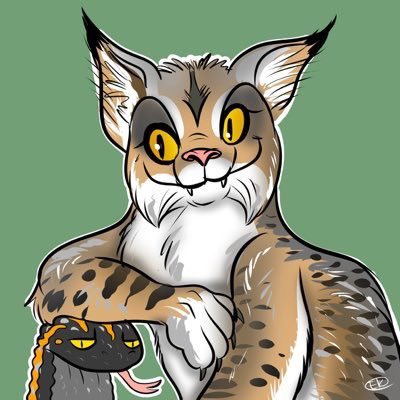 NatickBobCat's tweet photo. @gilamonsterasu ARMREST!!!

WHERE YA BEEN?! https://t.co/LaFOG9aBlr