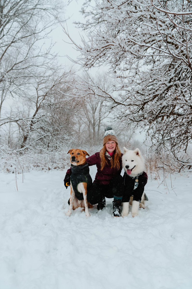 Hello, my name is Sydney! This is Oakley and Fable, Oakley is my cuddle bug and Fable is sporty boy. Follow along on our adventures! 
#dogsoftwitter #dogs #adventuredogs #samoyed #greatpyrmix #michigandogs #womenandtheirdogs #hikingwithdogs #hiking #snow #winter