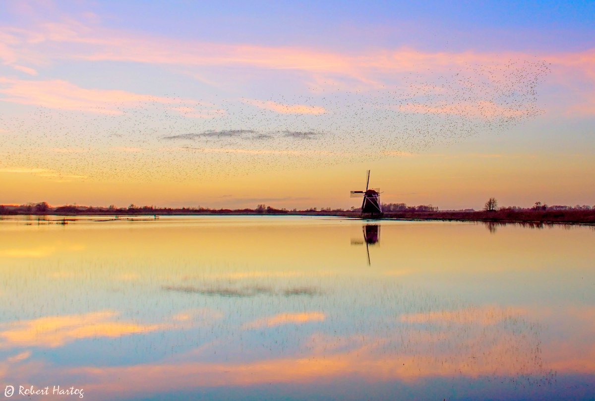 De #Zonsondergang van 26-2-22 bij de #YpeyMune bij #Ryptsjerk 
<a href="/nicolienkroon/">nicolienkroon</a> <a href="/WilliamHuizinga/">William Huizinga</a> <a href="/mrmiddendorp/">Maurice Middendorp</a> @weermanreinier <a href="/BuienRadarNL/">Buienradar</a> <a href="/marjondehond/">Marjon de Hond</a> @MarcdeJongRTL