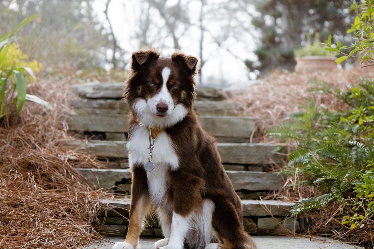 Mighty Meka tweet media