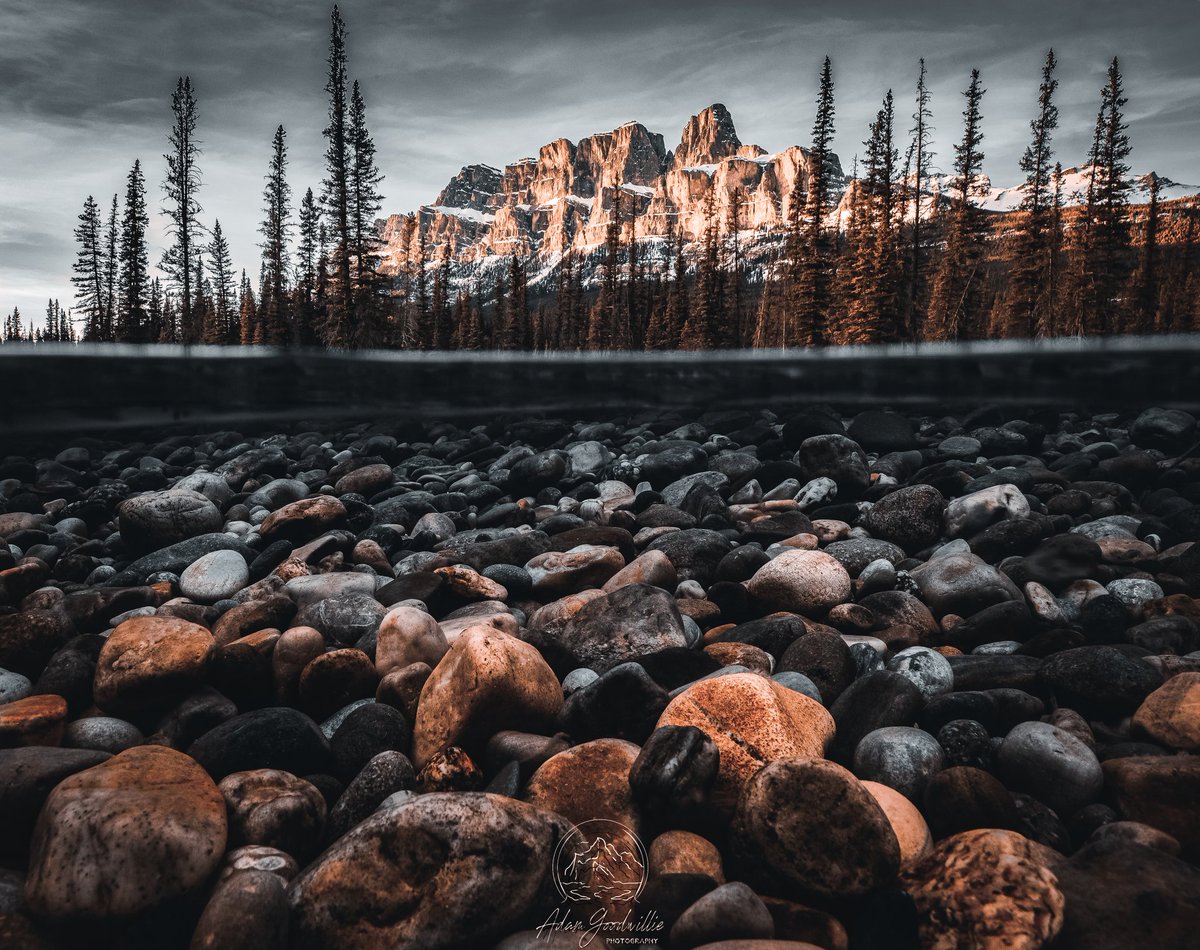 Adam Goodwillie tweet media