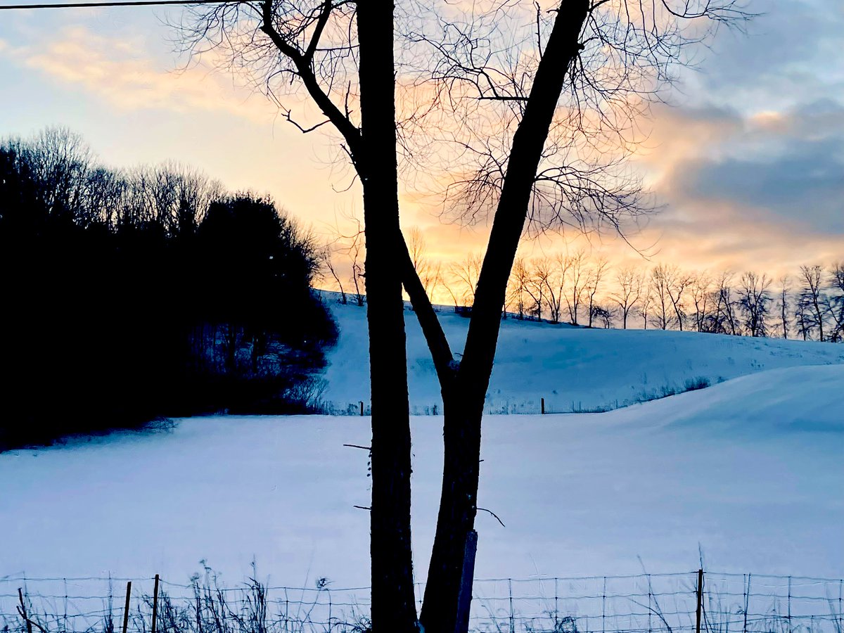 SmileTurn1's tweet photo. #winterpics 💙❄️ https://t.co/JXrzJuFH7B