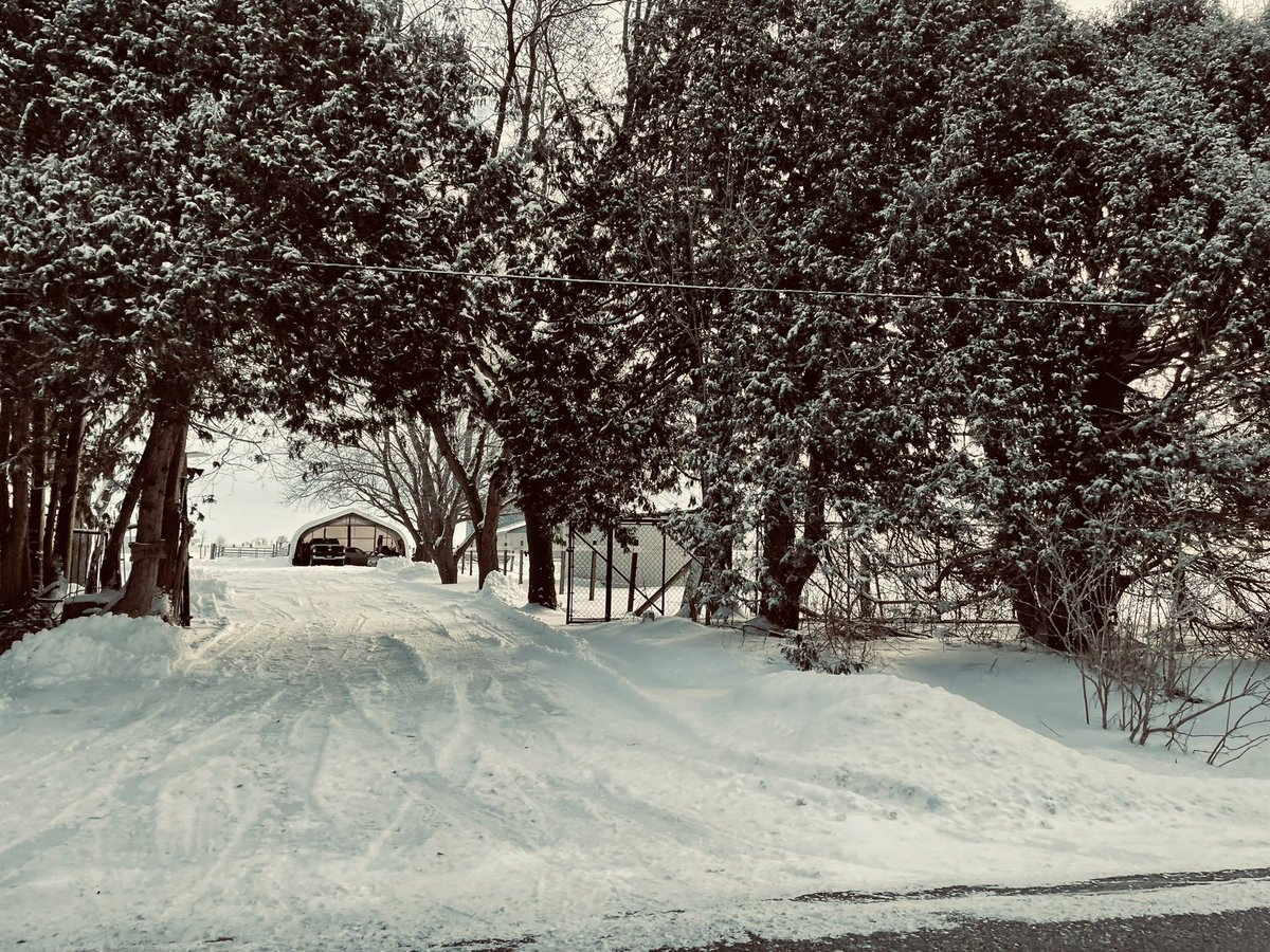 SmileTurn1's tweet photo. #winterpics 💙❄️ https://t.co/JXrzJuFH7B