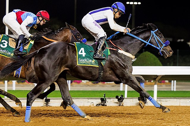 BloodHorse tweet media