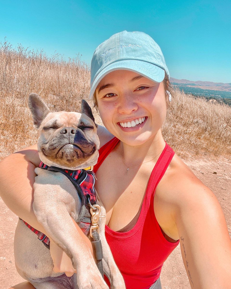 jazzyandash's tweet photo. Us smiling at how our feed is full of dogs with no advertisements and how we opened up Twitter before IG this morning ☀️🐶 #dogsoftwitter #twitterdogcommunity #dogmom #twitterfrenchiecommunity https://t.co/vs826DTAll