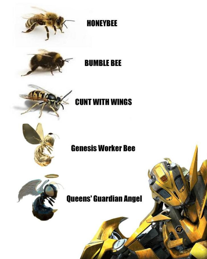JosJan19's tweet photo. There is no doubt in my mind which of those bees  stands or should I better say flies at the end of the "food chain" I'm super unpatient to get my hands on one of those! @hiveinvestment #hive  #hiveinvestments #beelieve #UoT #GrowTheHive https://t.co/d3WtmS5v76