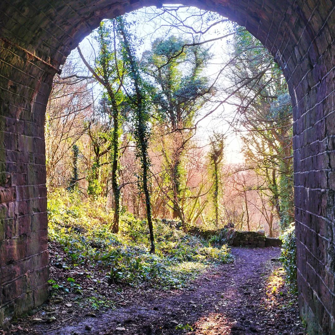 BathRunner's tweet image. What a day!! #bath #bathcountryside #naturelover