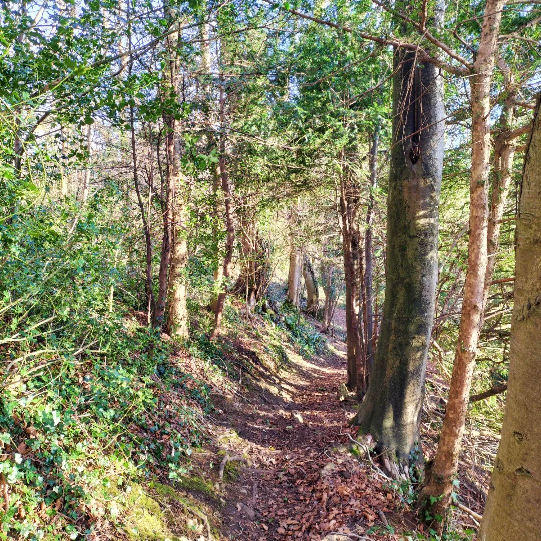 BathRunner's tweet image. What a day!! #bath #bathcountryside #naturelover