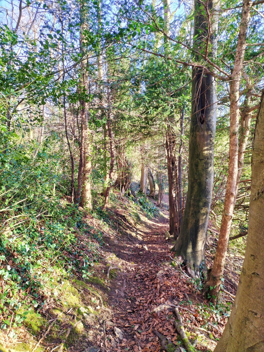 BathRunner's tweet image. What a day!! #bath #bathcountryside #naturelover