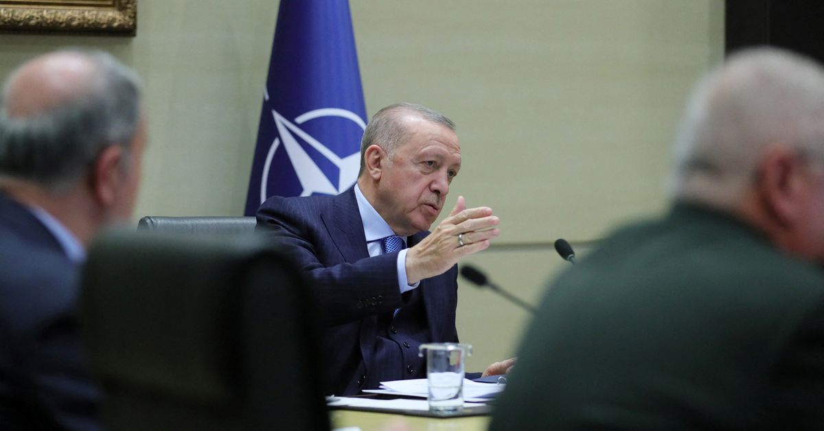 Reuters's tweet photo. Turkey making efforts for immediate ceasefire, Erdogan tells Ukraine's Zelenskiy https://t.co/ceIVnBtpoW https://t.co/Mn2g7kX97V
