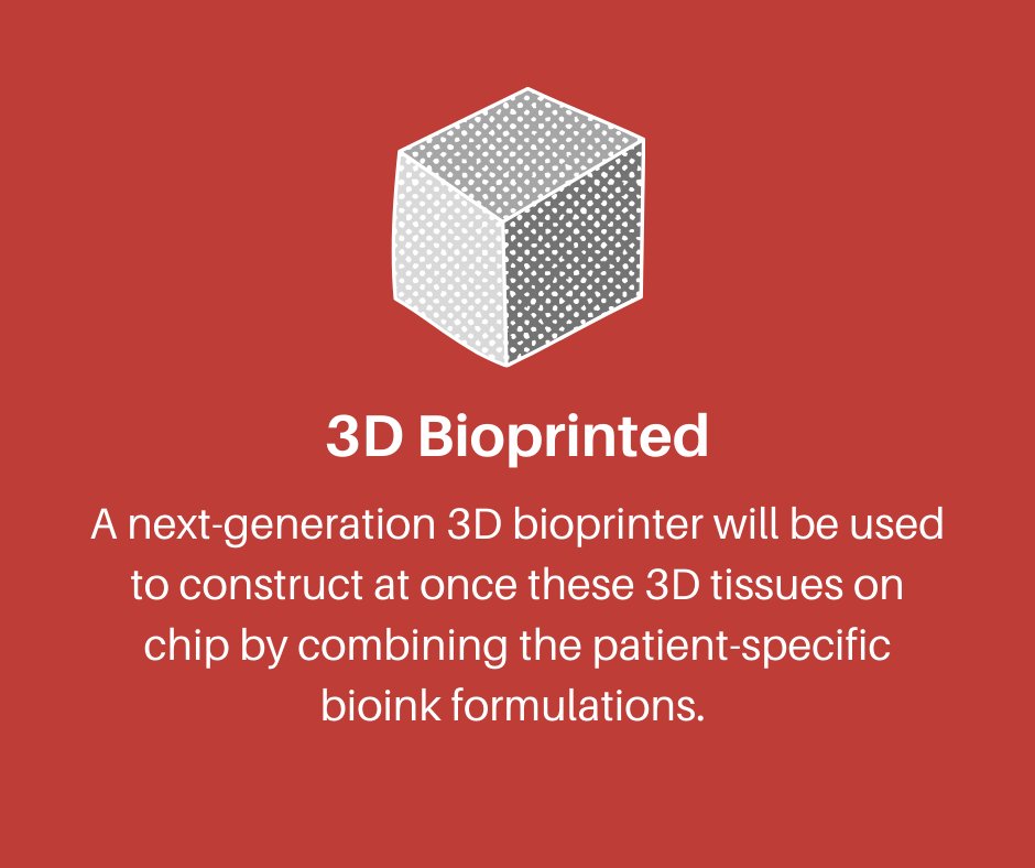FLAMIN-GO’s vision is to provide an organ-on-chip solution to open up a new avenue towards care in RA. This solution will be based on the design and fabrication a multi-compartment microfluidic platform, for 3D-culturing and perfusion, of all the disease-relevant joint tissues.