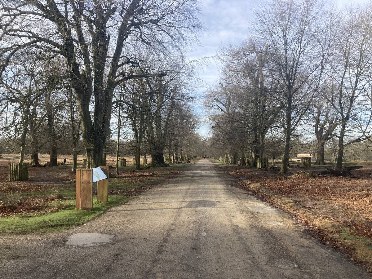 ZoeMerchantOT's tweet image. 28km today in our @Marathon_Mcr training. Gatley to @DunhamMasseyNT via @WythenshaweHosp &amp;amp; back again. My longest ever run &amp;amp; grateful to my @GatleyRunners pals for the ongoing support. 2 more weeks of mega long runs &amp;amp; then the tapering begins. #5weekstogo