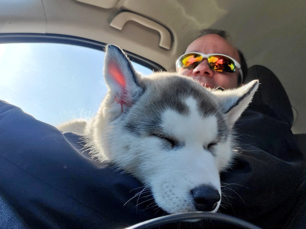 BaseProgression's tweet photo. Puppy! 💙💙💙💙💙💙 https://t.co/RPTB5D1xXa