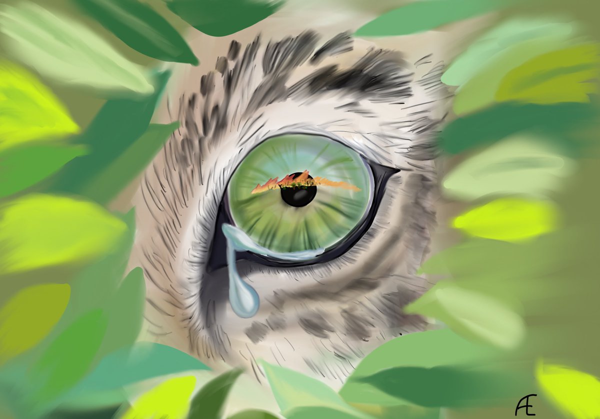 eitzisart's tweet photo. @cometwtf Just finished this… https://t.co/vU7VmXr7wt
