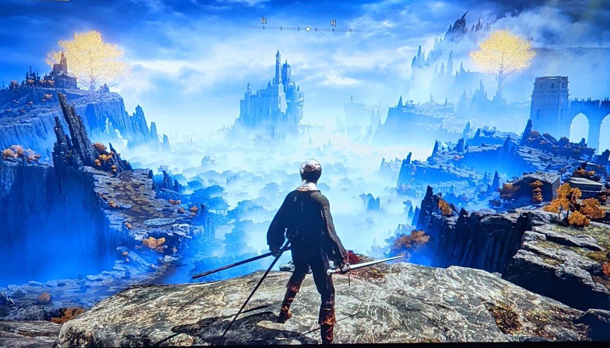 Mmmm, Elden Ring... ⚔️😍