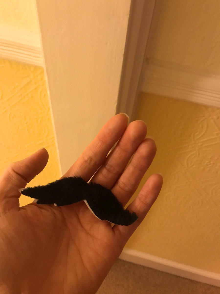 EllieChads's tweet photo. Found a wayward moustache in my pocket after our #TateLates event #TraceofUs last night @Tate Modern so thought I’d do one last disruptive selfie 🤳 thank you Ana Mendieta for the inspiration! https://t.co/osPmWSSAcX