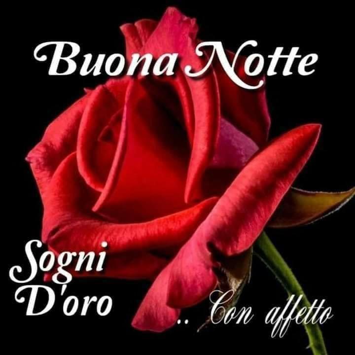 cettabone's tweet photo. @RitaRitask61 https://t.co/Uo7g8MakAz