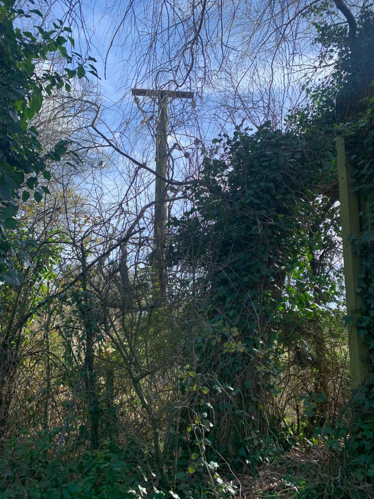 totton46's tweet photo. Firecall No. 38 1051 H46P4 mobilised again to a ‘Fire Electrical Installation’ in Totton, Tree fallen onto power lines causing arcing/smoke. Power outage to surrounding area. Incident handed to local electricity board. 2 shouts in as many hours this morning. #fire #besafe #alarm https://t.co/pP8lT3UTmC