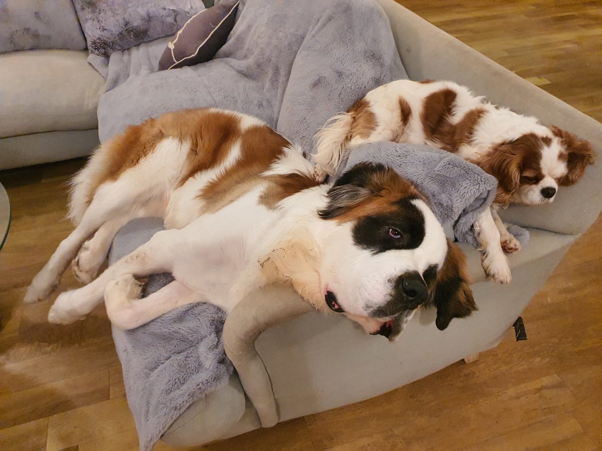 All creatures great and small. The Lord God made them all ❤