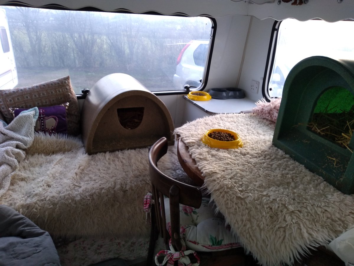 CatChesterfield's tweet photo. Safe space to roam &amp; hunt, a caravan of their own, food &amp; lovely humans ❤️ be happy in your fab new home, Tom &amp; Jerry 😊🐈 #farmlife #freespirits #cats #CatsOnTwitter https://t.co/ckid7VK6XF