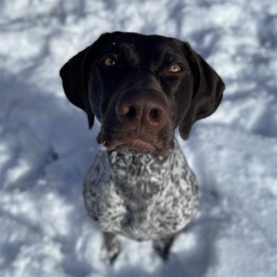 Mila ♡ tweet media