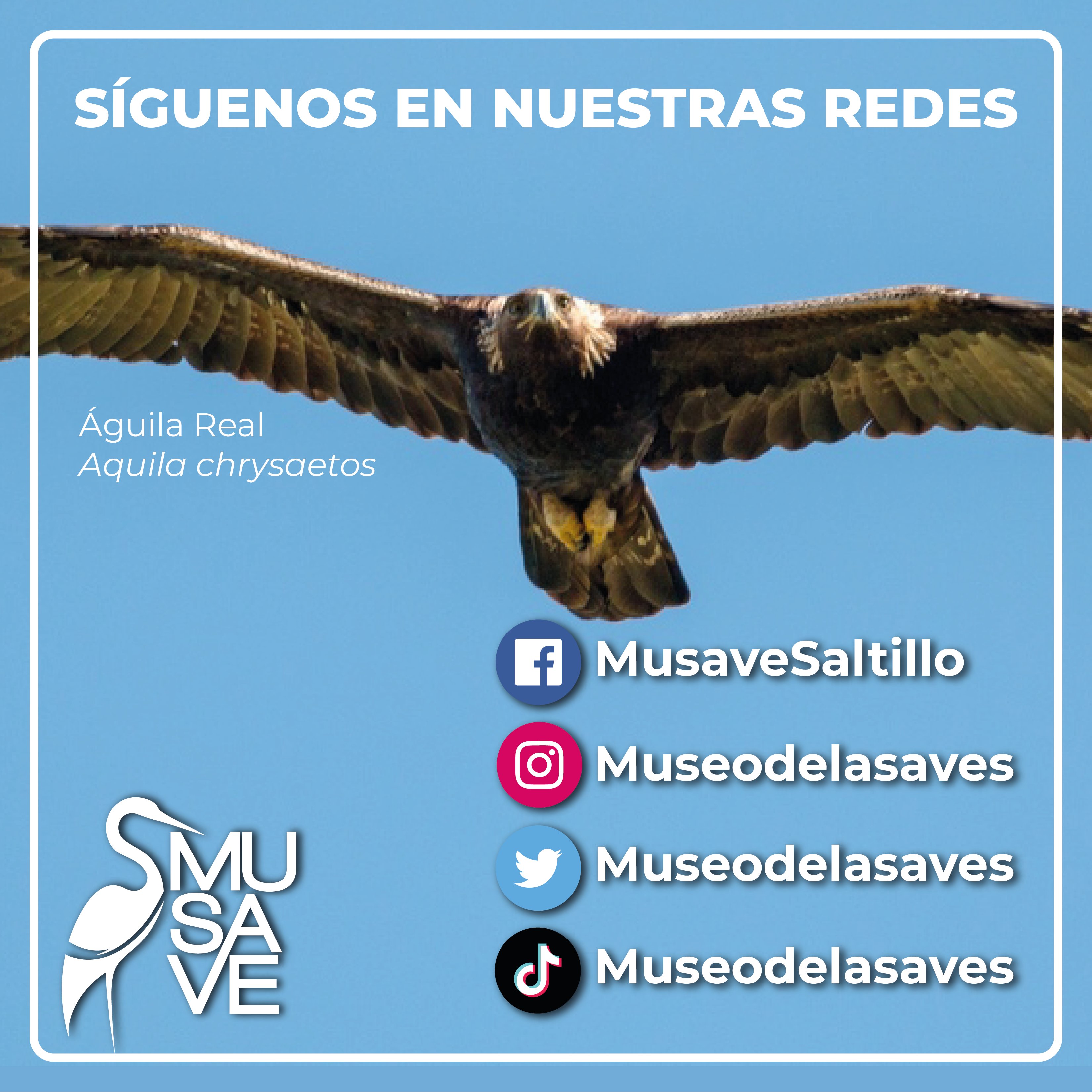 MUSAVE on Twitter: 