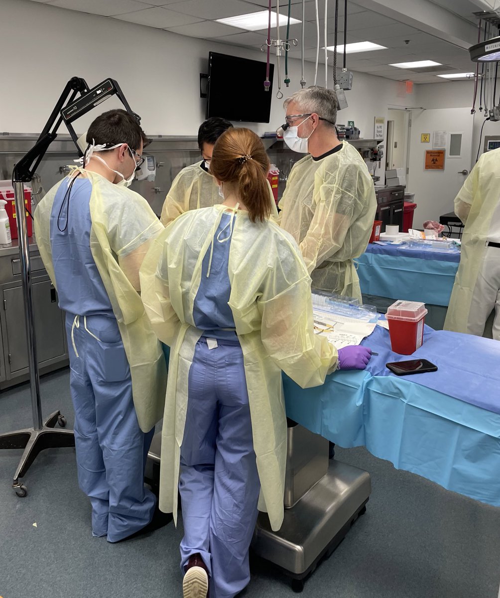 Saturday AM Masterclass + Wet Lab on AVR, MVR, and Bentall with our PD Dr. Doug Johnston @TallRoundsTM