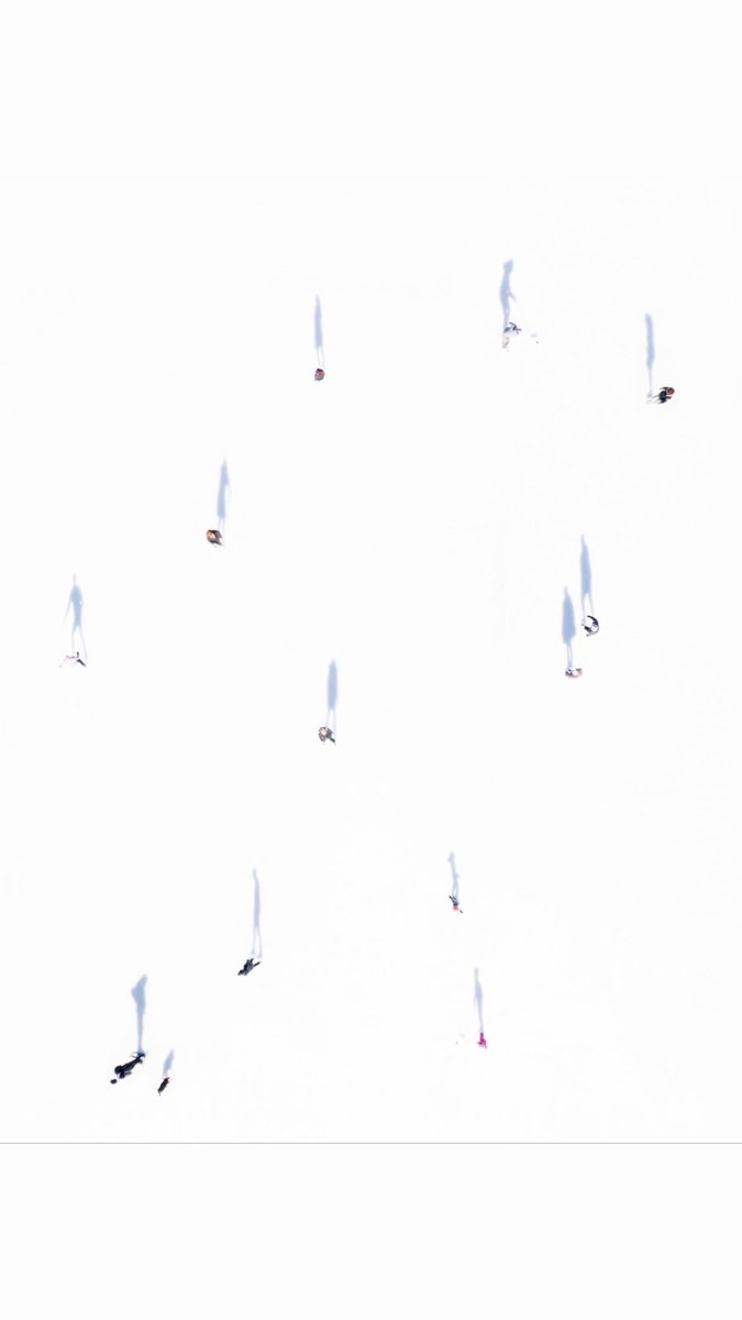 OGEE VISUALS tweet media