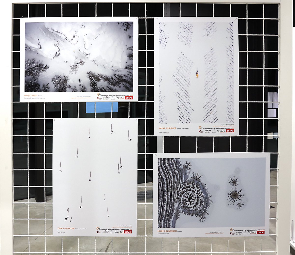 OGEE VISUALS tweet media