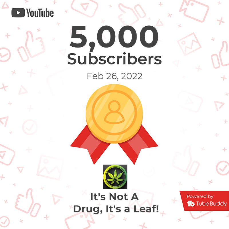 NotaDrugAleaf's tweet photo. We just keep on growing! Let's get it!!!
https://t.co/GCaZi265st
#stoners #reviews #strainreviews #milestone #grateful https://t.co/0FDmLiP4D6