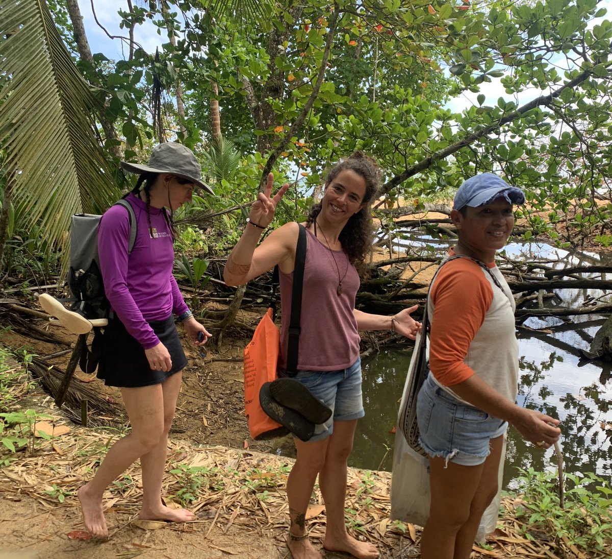 felipebakerp's tweet photo. The Baulas in STC are already arriving at #bluffbeach . Thanks to the all team @TheSFS #HopeSpotBocas #Wastelessworld @MunicipioBocas and Arelys Cotess for support and coming to clean up this important area for sea turtles to nest #Panama #BocasdelToro . https://t.co/TCSSm7NTbH