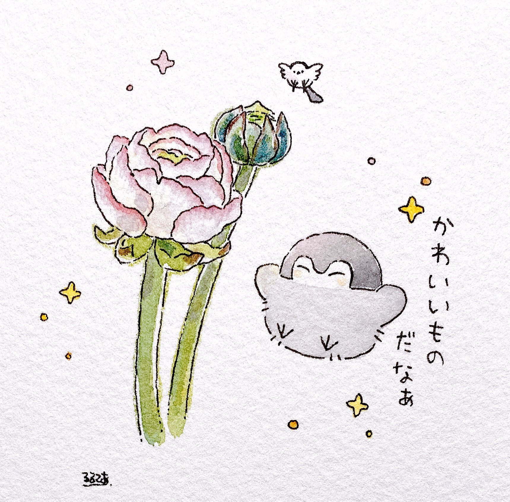 るるてあ ラナンキュラスという花が好きです T Co Be1f1wqsrk Twitter