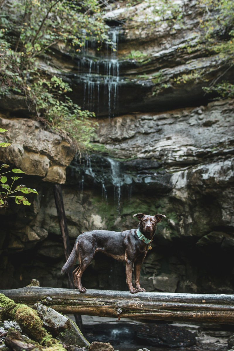 Mahala C tweet media