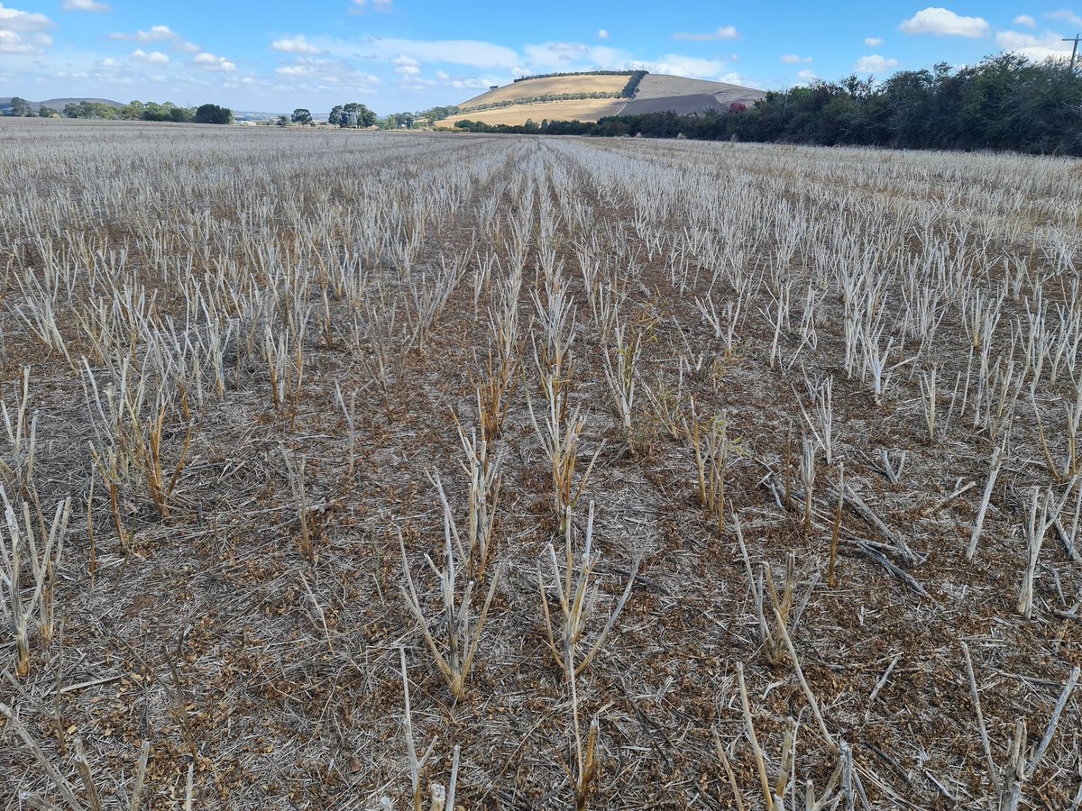 Ben Findlay tweet media