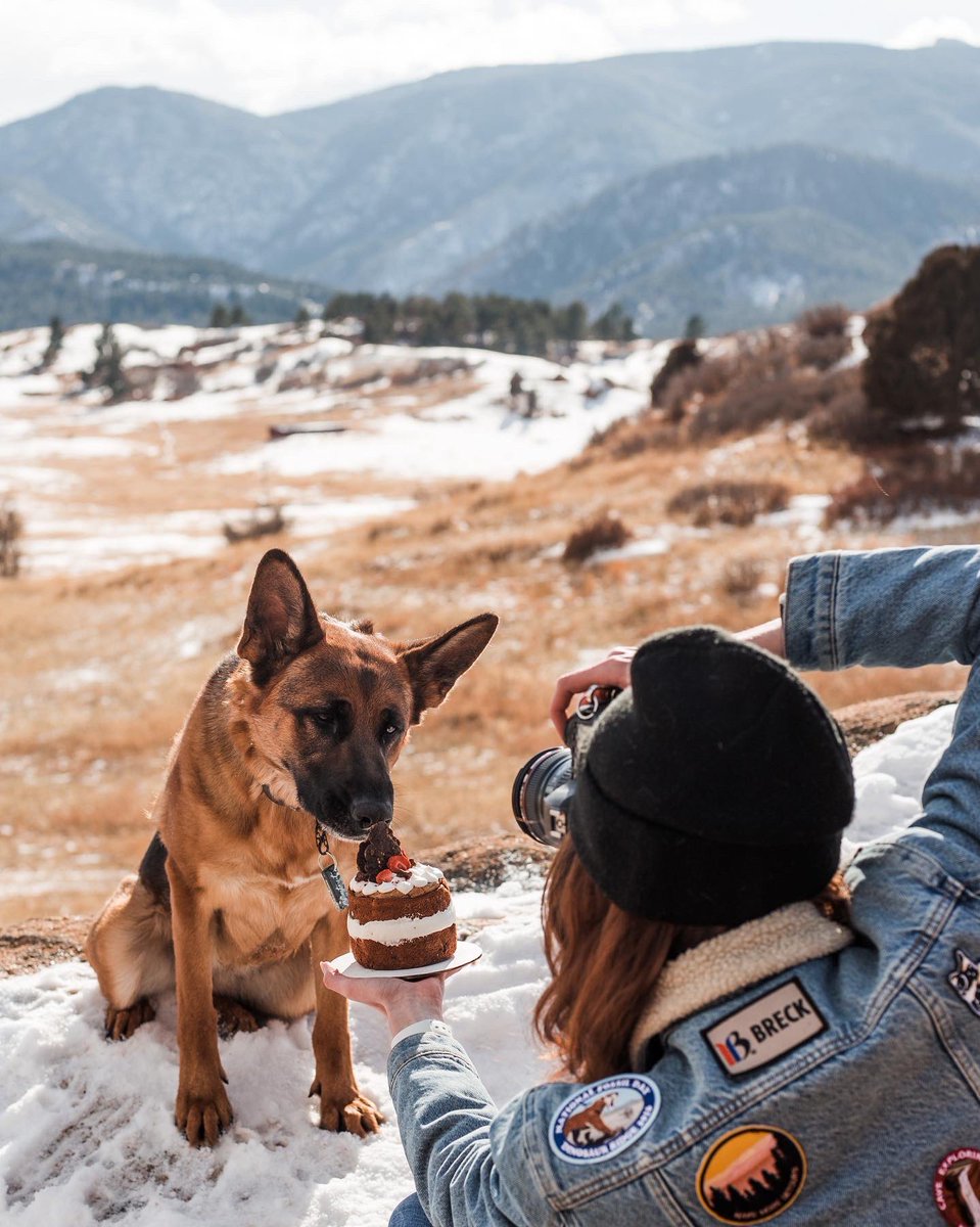 wistful.chestnut tweet media