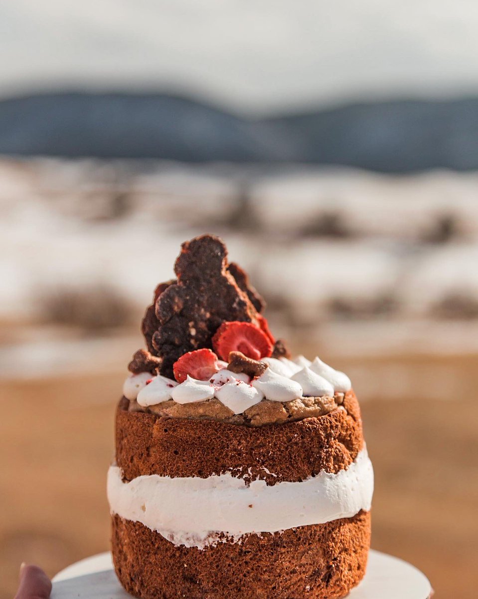 wistful.chestnut tweet media