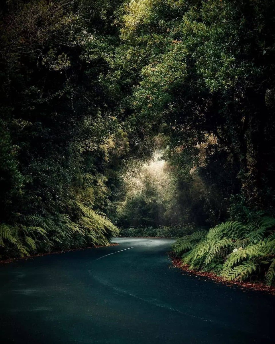 جزر ماديرا - البرتغال