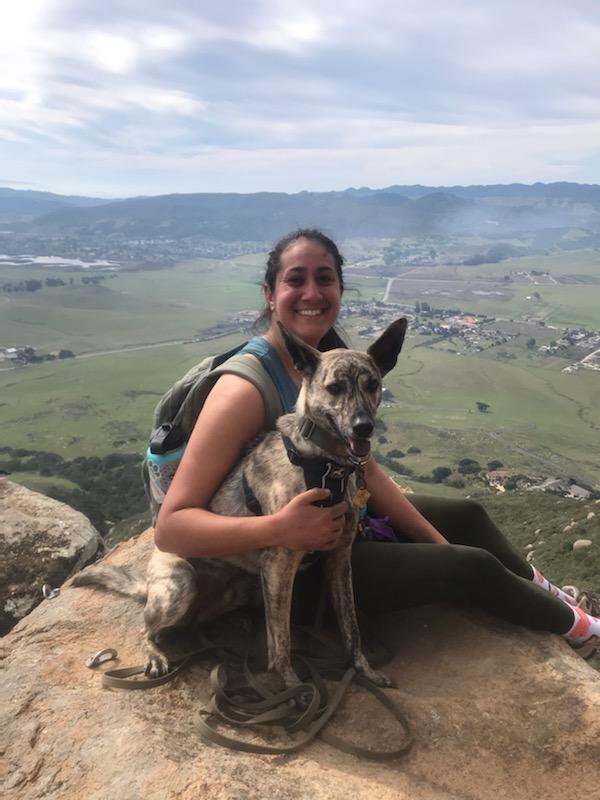 Went on a hike today and climbed through all the rocks to get to a better view😂 Moose was such a trooper and did so well climbing up all the rocks! They don't call him mountain dog for nothing! #dogsoftwitter #twitterdogcommunity