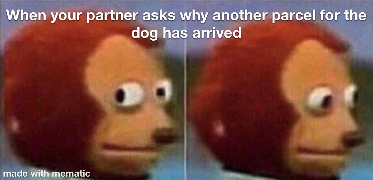 Been slacking this evening! 

I mean I think most of us can relate, my dog definitely has a better wardrobe than me 😂 

<a href="/polka_dot_loki/">Loki The Dalmatian</a> #twitterdogcommunity #dogtwitter #dogtwittercommunity