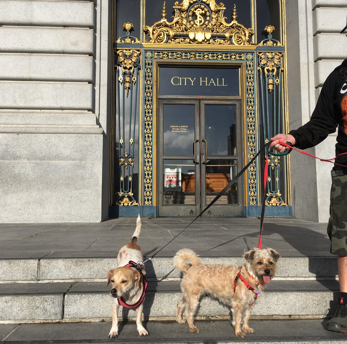 WalkSF49's tweet image. WE GOT TO MEET PENNY the #49milerescuedog (#spcamc) as she became the FIRST DOG to WALK SF’s #49mileScenicDrive (in 17 bite-sized walks!) CONGRATS, to her and her companions  Joe Squeri, Jenny Lucero and Lena (#sanfranciscospca). SF BUCKET LIST ✓
#2022goals #walkingforhealth