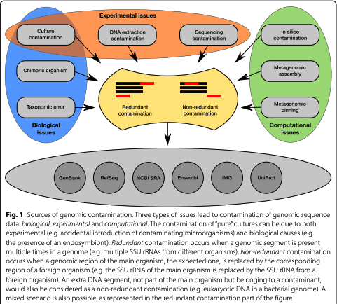 BioDecoded's tweet photo. Contamination detection in genomic data: more is not enough | Genome Biology
https://t.co/7QBwVWlXDR

#BioInformatics https://t.co/YJZbnHLzak