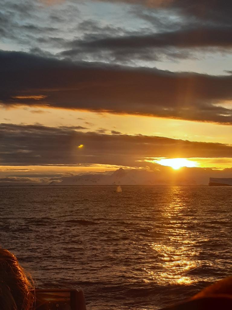 appeldespoles's tweet photo. C'est en cette magnifique soirée du 25/02 que nous avons pus observer nos premières baleines. 
Ces majestueuses baleines à bosses nous ont offert un magnifique spectacle à l'heure du coucher de soleil.
C'est leur souffle qui nous permet de les repérer facilement sur une mer calme https://t.co/gXRAP2GcqS