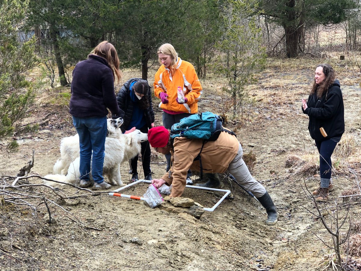 UglyFossils's tweet image. @Sumrall_Lab and I took some students out to collect #fossils for their term-long research assignment today near Berea, Kentucky. (It&apos;s a #taphonomy project!)