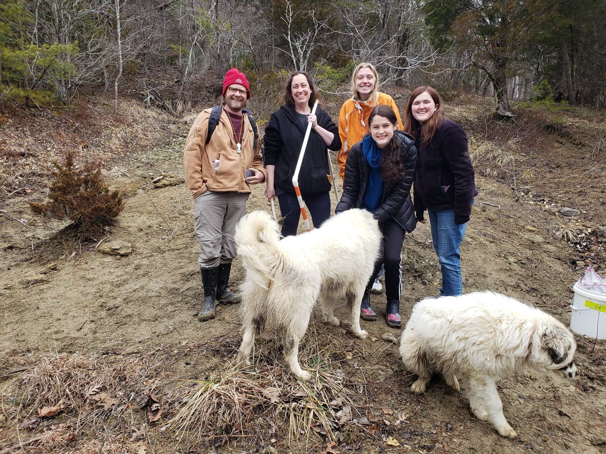 UglyFossils's tweet image. @Sumrall_Lab and I took some students out to collect #fossils for their term-long research assignment today near Berea, Kentucky. (It&apos;s a #taphonomy project!)